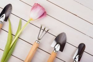 Set di attrezzi da giardino in acciaio inox