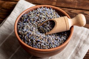 Semi di lavanda biologica